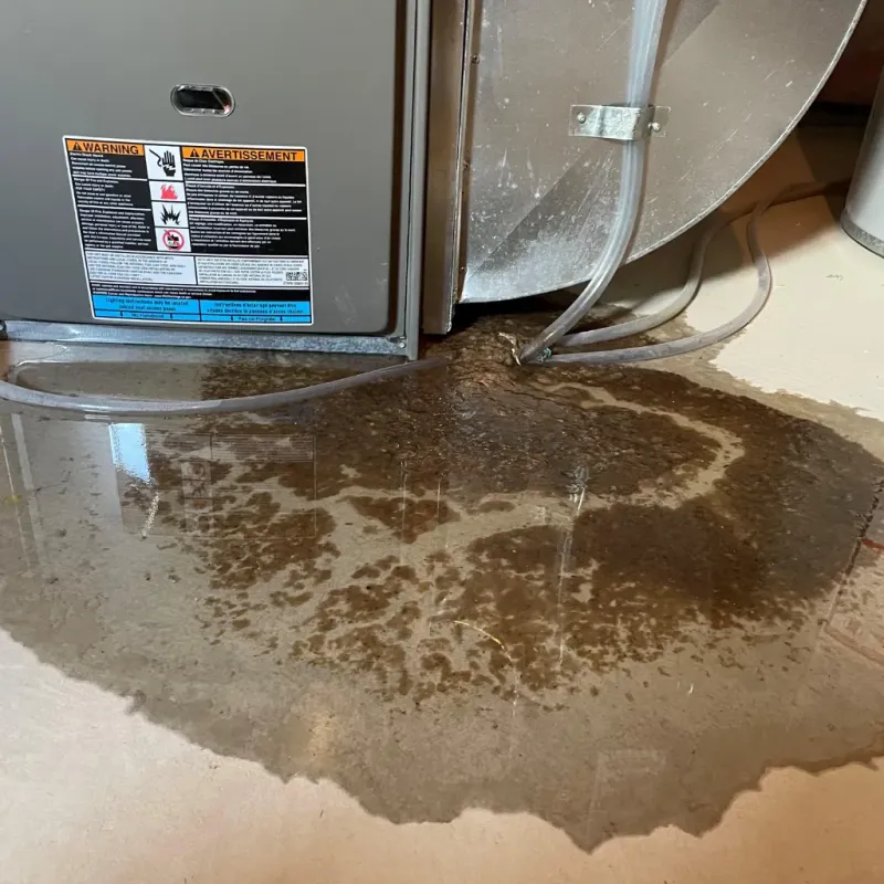 Appliance Leak Cleanup in Harvest, AL